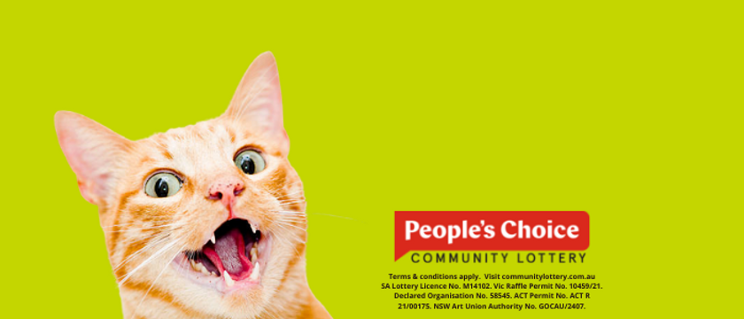 Community Lottery - Banner.png