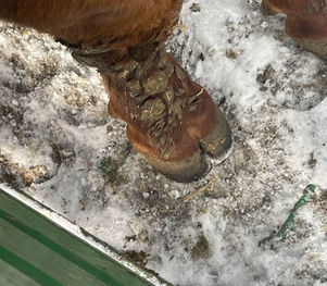 dimensional mom foot.jpg