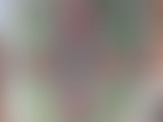 ペルシャ絨毯