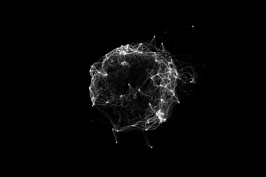 AI Nuer Net Image (1).gif