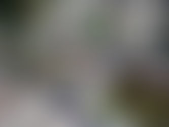 World’s First 3D-Printed Steel Bridge Opens to Public in Amsterdam