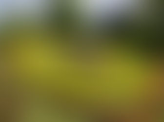 Geneva blends tales of time and travel