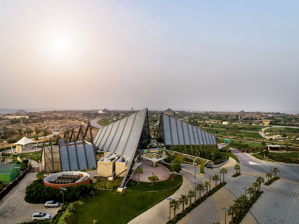 Dubai Safari re-opens its doors with an array of new experiences