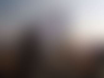 Investment Corporation of Dubai Announces Record Revenues, Net Profit, Assets and Equity