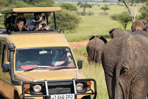 Marriott International Signs Agreement With Delaware Investment Limited to Launch Luxury Safari