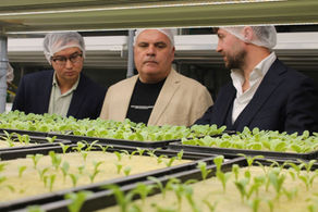 Revolutionizing Culinary Creativity: The Unveiling of Greeneration in Dubai