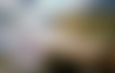 What Is Birch Water? Benefits and Downsides