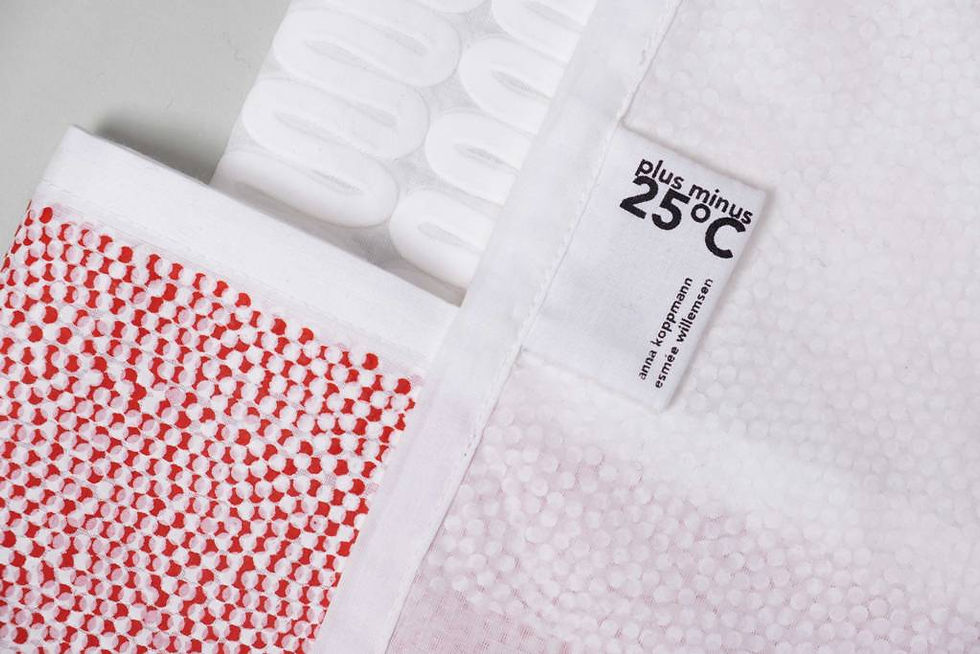2020 Plus Minus 25 by Anna Koppmann, Esmée Willemsen, UDK