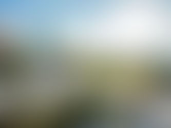 Merex Investment Launches Six-Month Initiative to Nurture Green Revolution Among Students