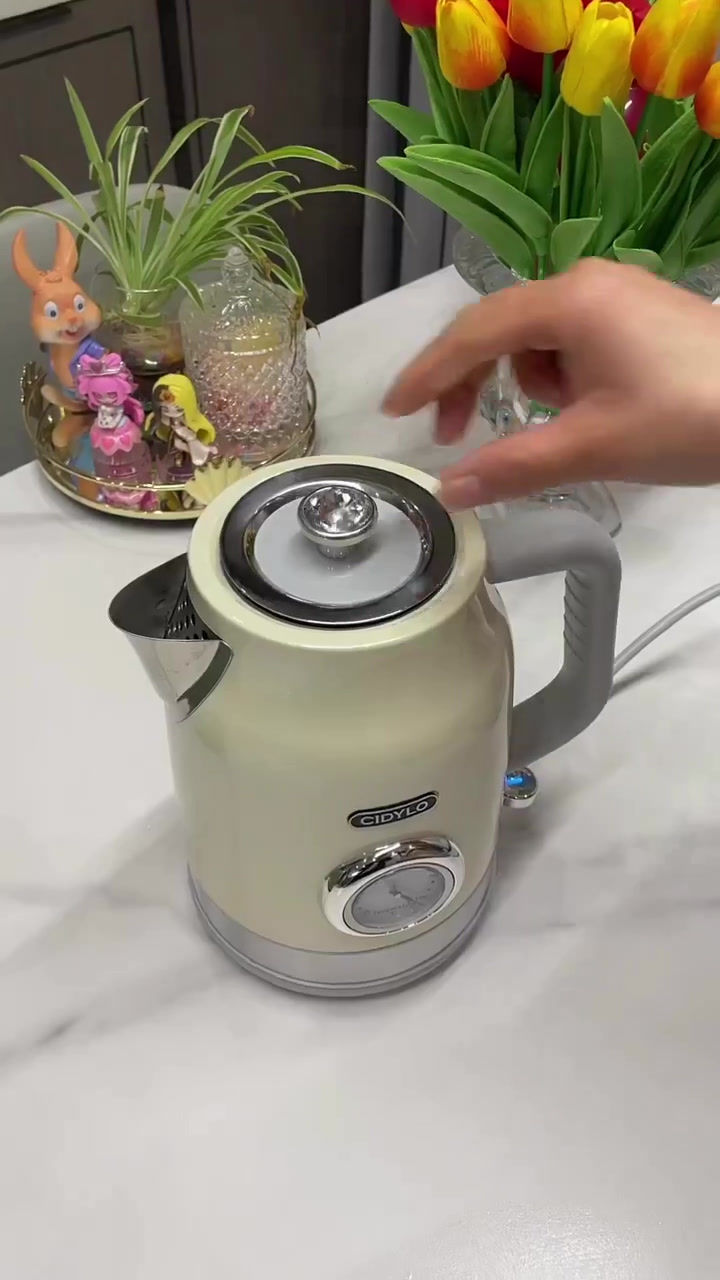 الصورة المصغرة: Stylish Electric Kettle