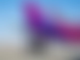 Wizz Air Launches Its Chatbot Amelia