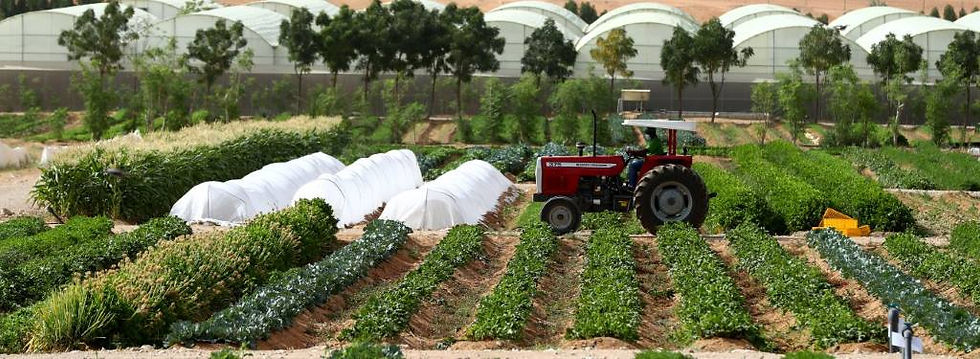 UAE’s Largest Organic Farm Opens Its Doors For Winterfest