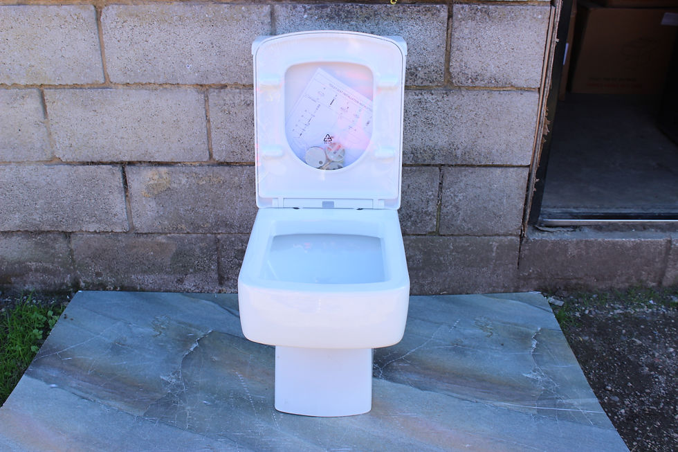 Thumbnail: White Square Shaped Close Coupled Toilet Soft Close Seat