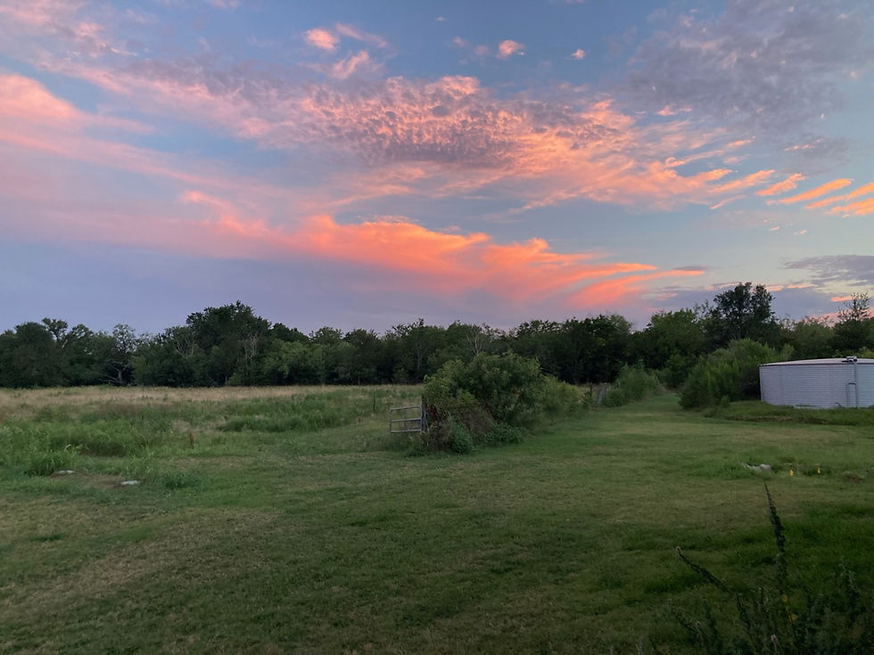 Cosmos Sunset