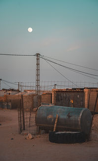 B_204475.jpg