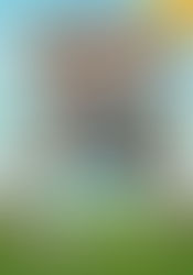 Our Becky jumping out of a perfectly good plane!