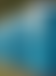 Why Porta Potties Are Essential for Events