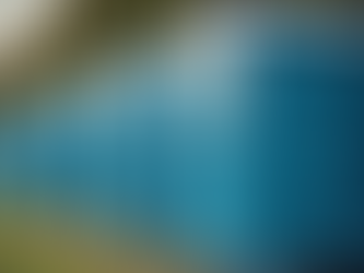 Why Porta Potties Are Essential for Events