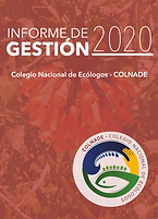 Pantallazo informe 2020.png