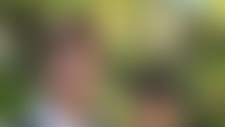 Chapter 19: Posterity