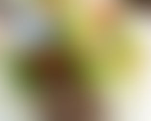 10 reasons I love doing weddings
(In no particular order)