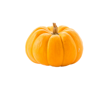 Untitled design (28).png