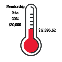 Copy of Copy of Copy of Dynamic thermo 550 trans (1).png