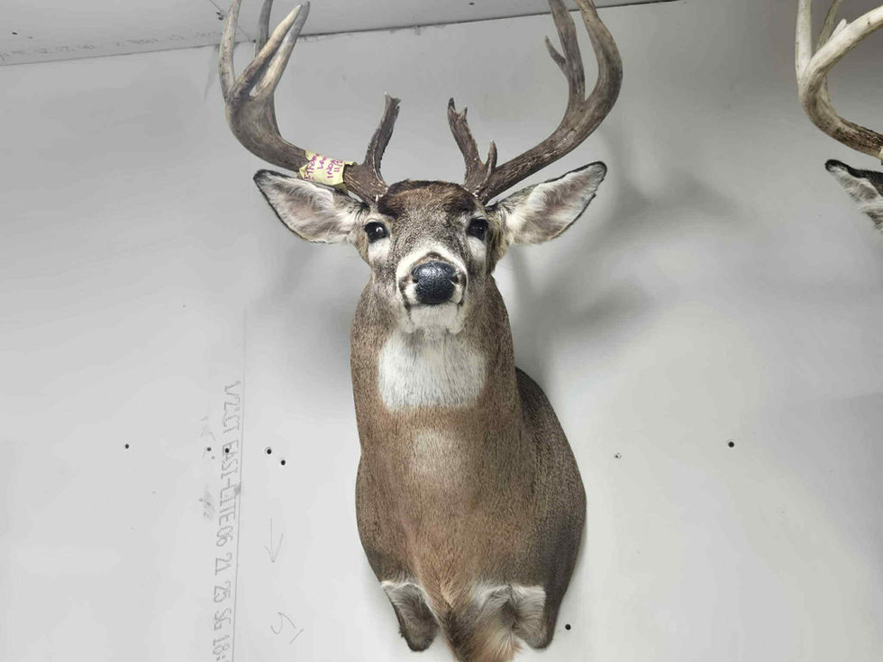 18925305-6ae5-49b5-b8cc-c83b56e5ba5d