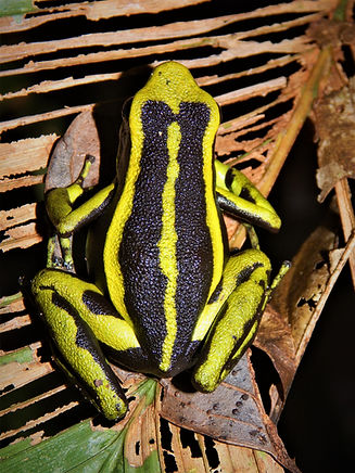DSCN6679.jpg