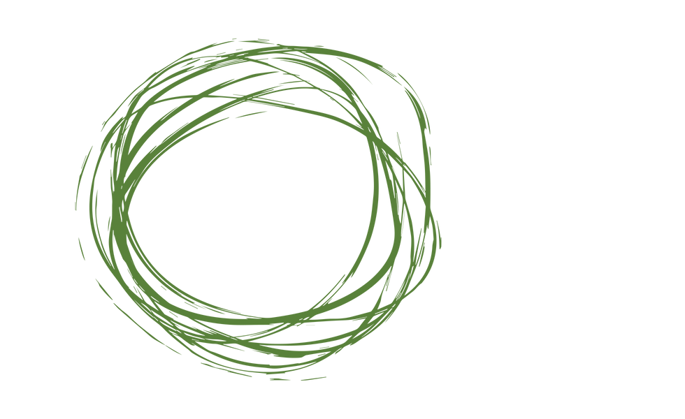 GreenBirdsNest-LG.png