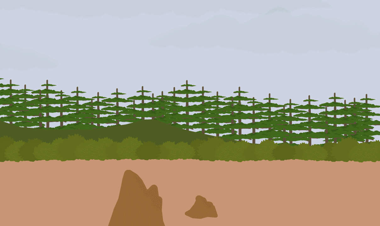 1111.gif