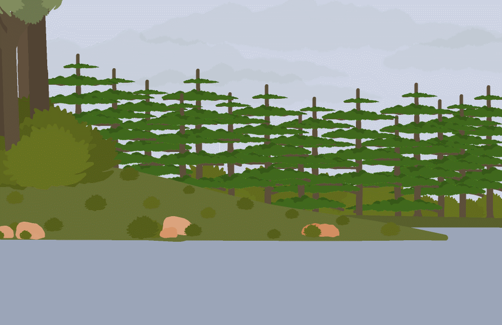 111.gif