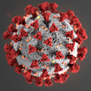 COMHAR’s Coronavirus Planning
