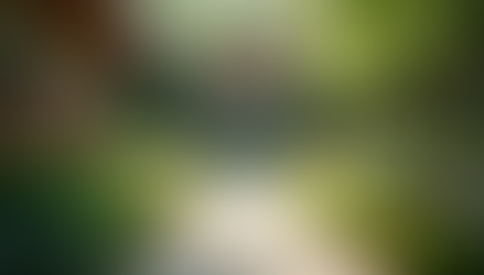 Beyond the Chart Hits: Unpacking WHAM - Your Action Plan for Holistic Recovery