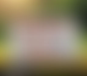 The Power of Curiosity: A Transformative Framework for Peer Specialists