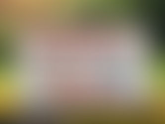 The Power of Curiosity: A Transformative Framework for Peer Specialists