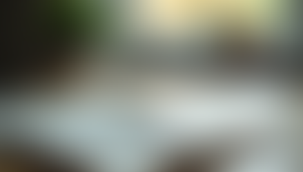 Top 5 Essential Skills Every Peer Specialist Should Develop