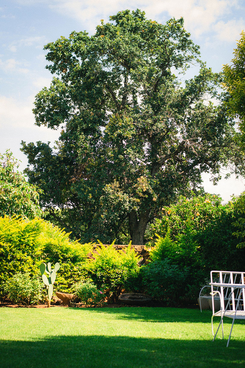 Sunbird Garden Cottages Unit 2