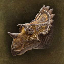 Regaliceratops_head02_2000