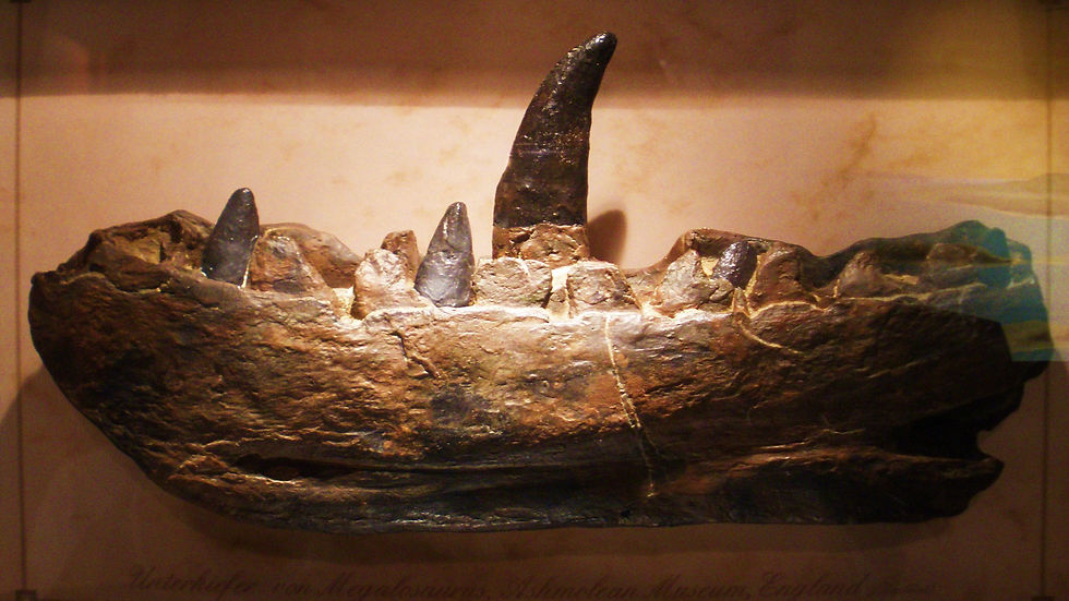 Megalosaurus
