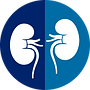 Nephrology Logo