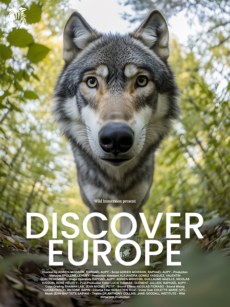 Discover Europe.png