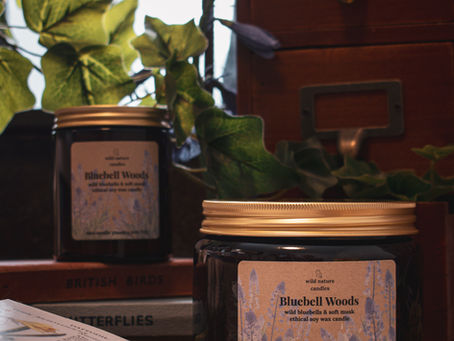 Eco-friendly soy wax candles in styled setting, Bluebell Woods 3 wick and single wick by Wild Nature Candles