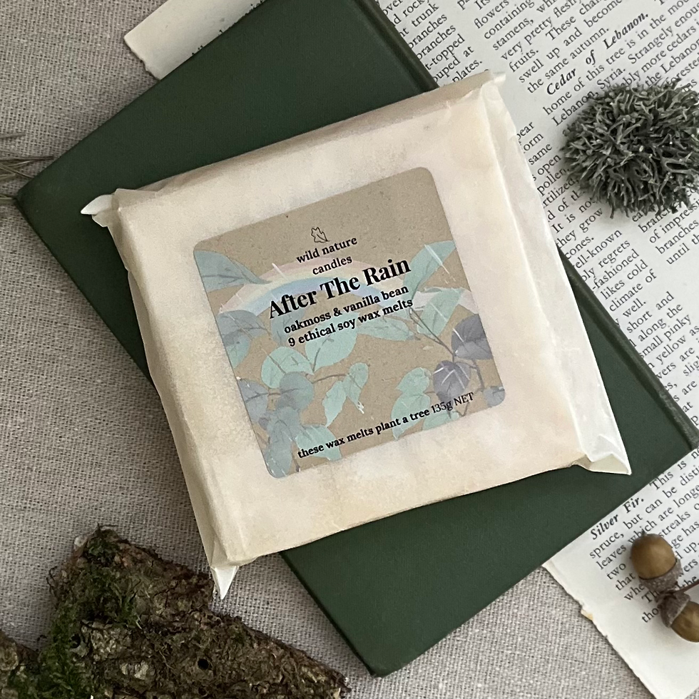 After The Rain soy wax melts in styled photo, petrichor scented home fragrance
