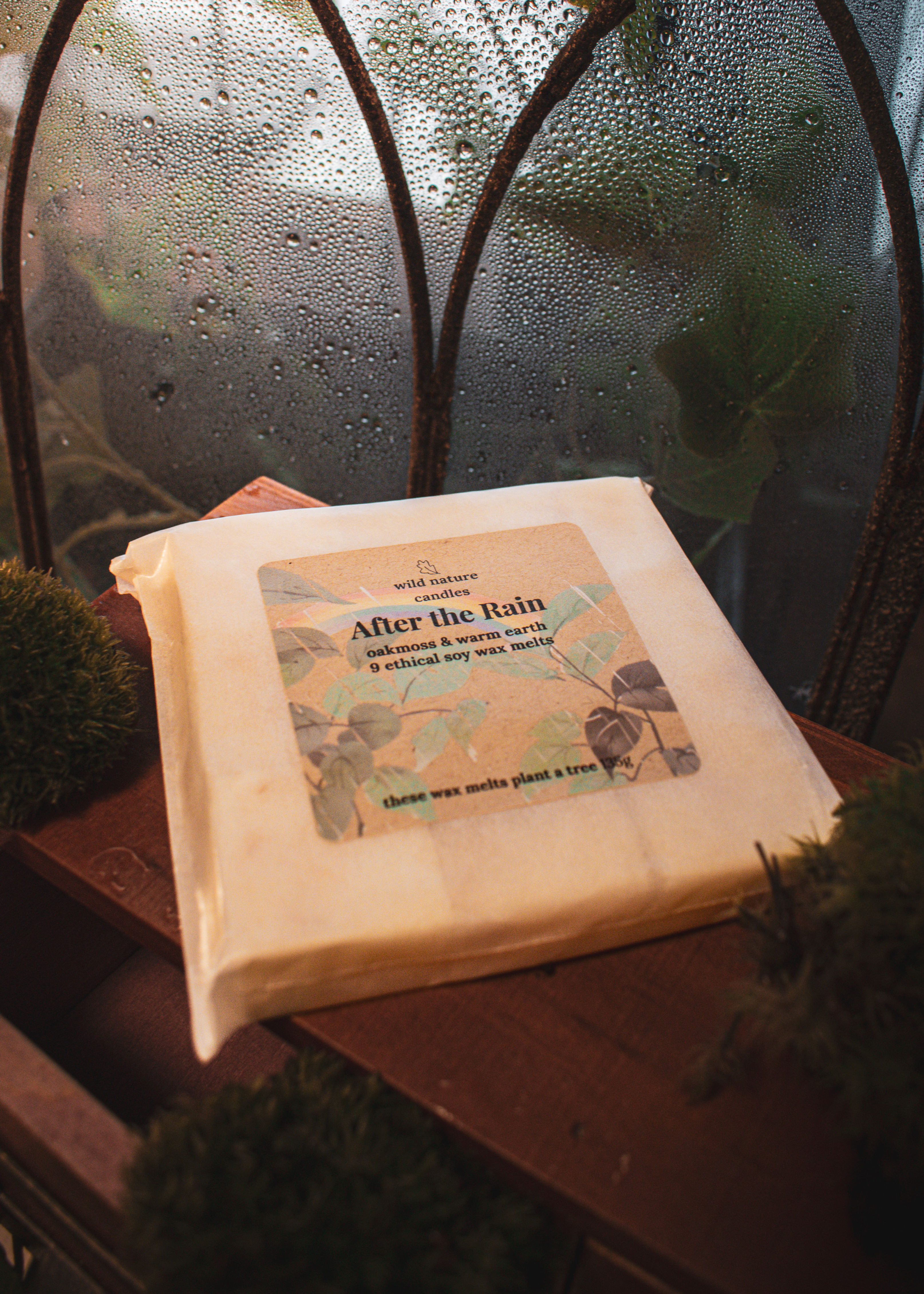 After The Rain petrichor fragranced eco friendly and vegan soy wax melts