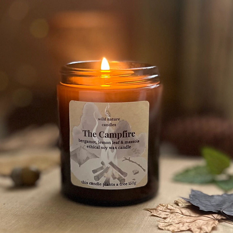 The Campfire candle eco friendly vegan soy wax with smokey fire scent