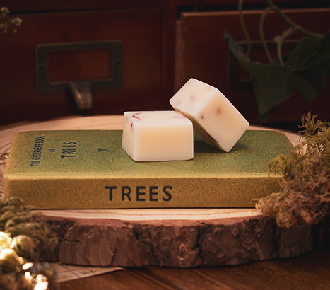 Soy wax melts by Wild Nature Candles styled on nature books, natural home fragrance UK