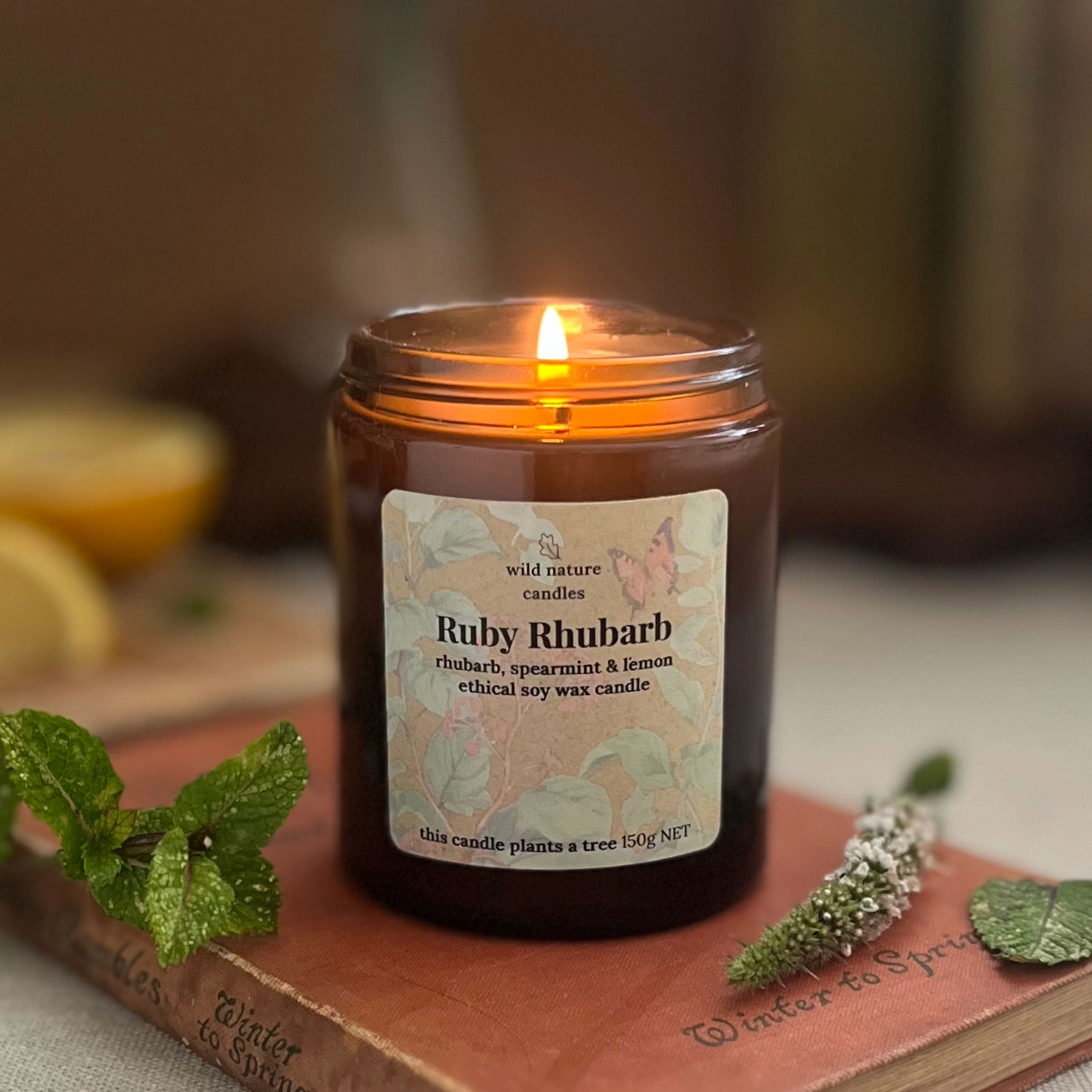 Ruby Rhubarb candle eco friendly vegan soy wax with fruity fragrance