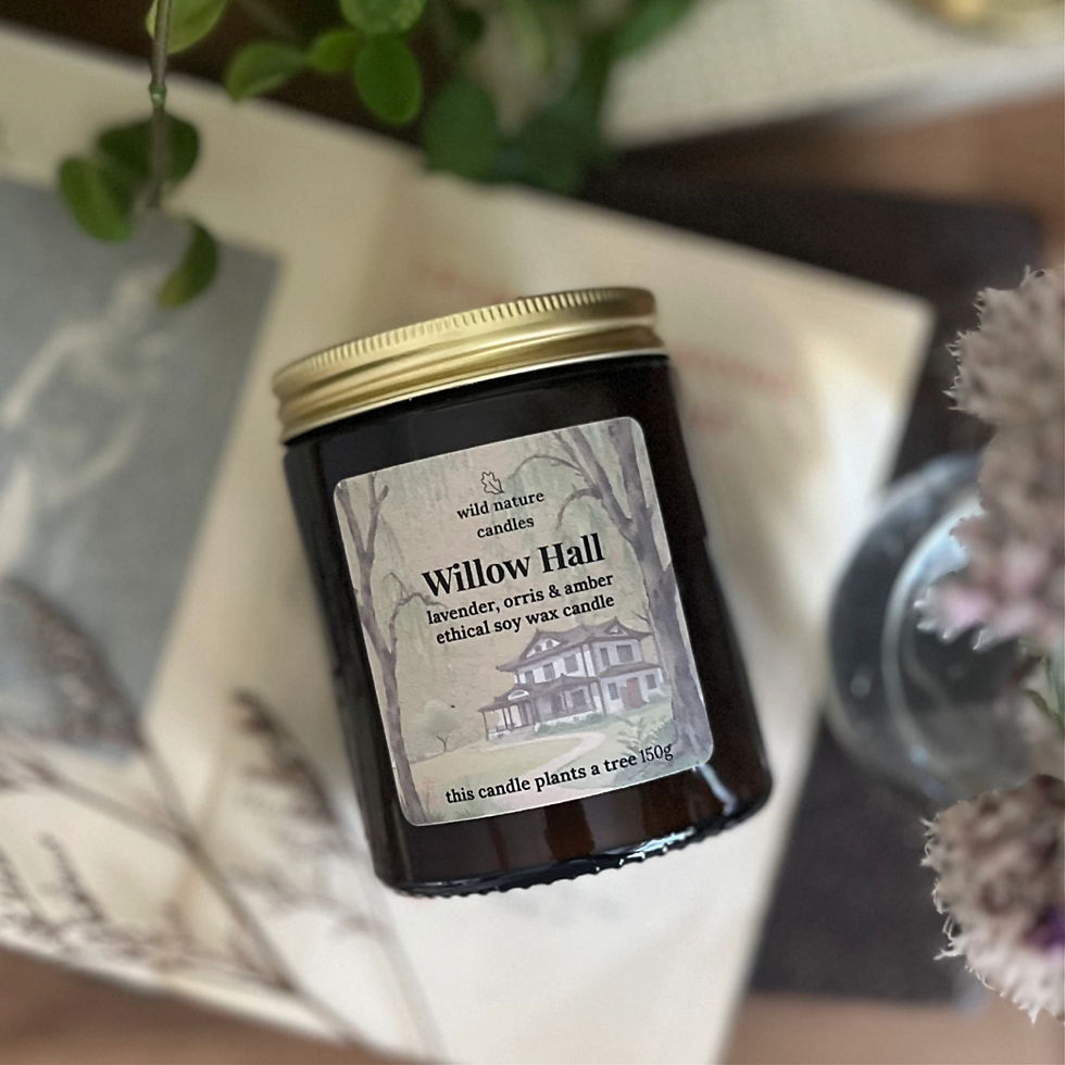 Willow Hall candle in glass jar with recyclable packaging, made with sustainable and vegan soy wax
