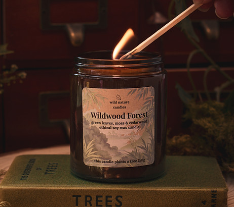 Nature inspired eco friendly vegan candles made with sustainable soy wax and handpoured in the cotswolds